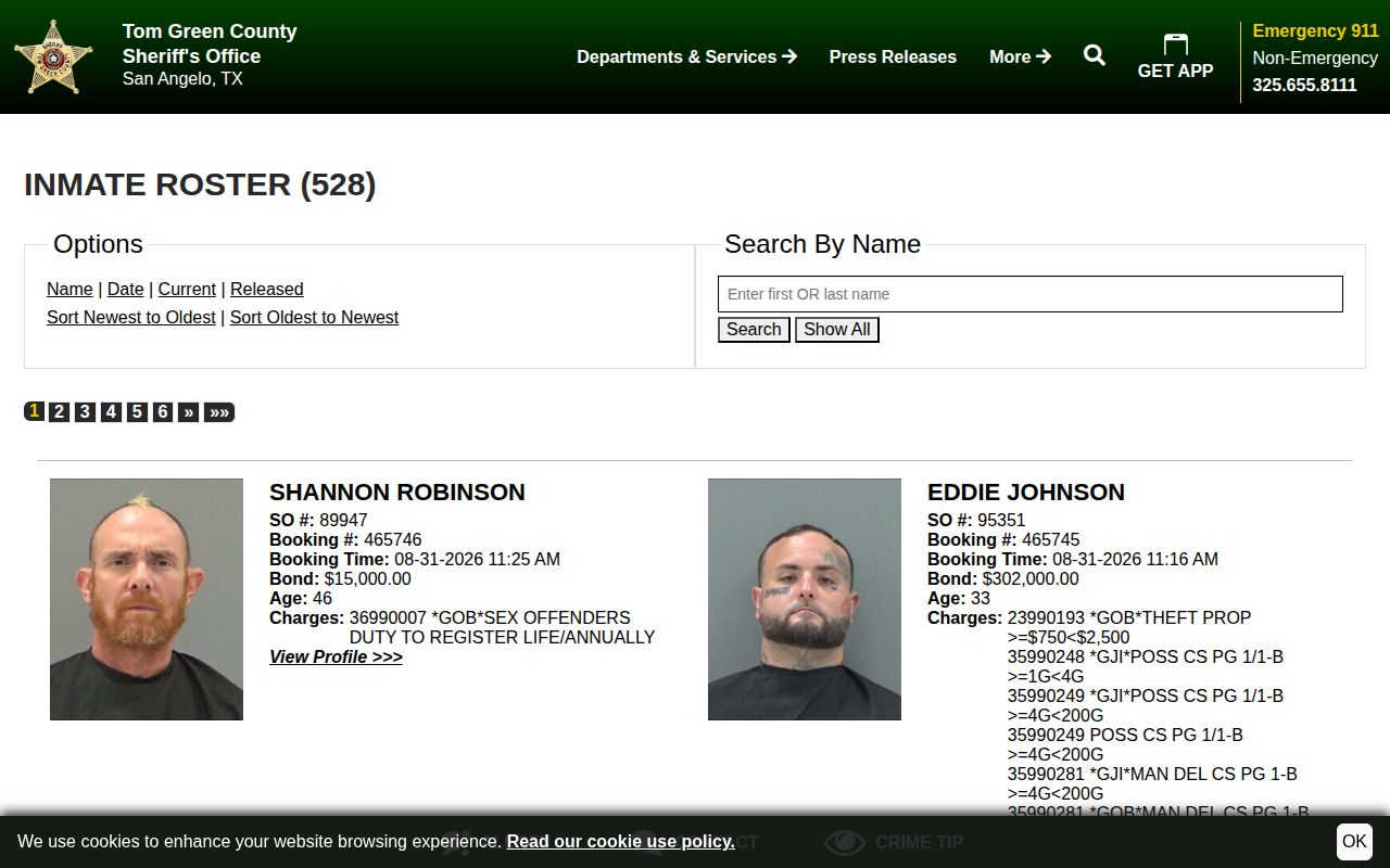 Tom Green County current booking roster record interface