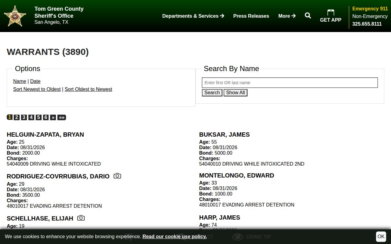 Tom Green County warrant record search interface